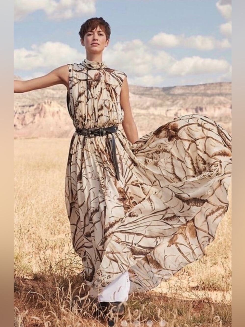 Banana Republic Valentina Empire Wedding Guest Event Chiffon Sheer Maxi Dress